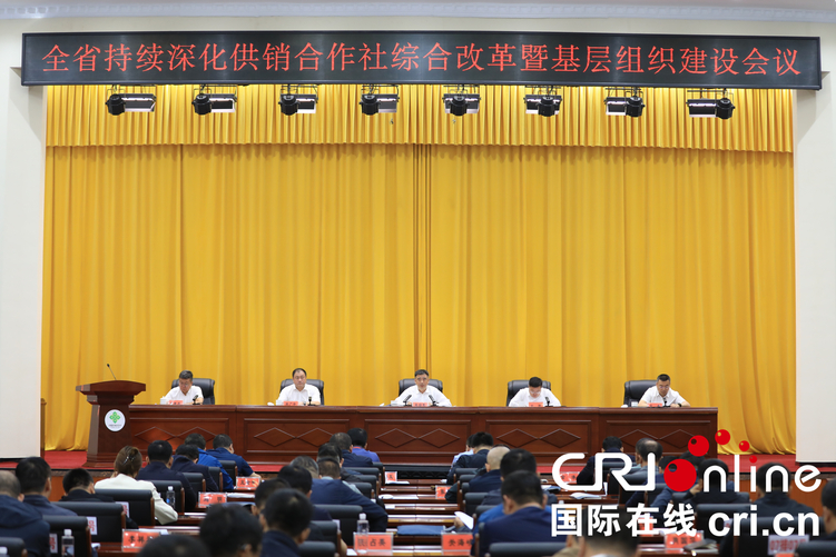 挑起为农服务“金扁担”——从“依安模式”看黑龙江省基层供销合作社改革实践_fororder_图片1