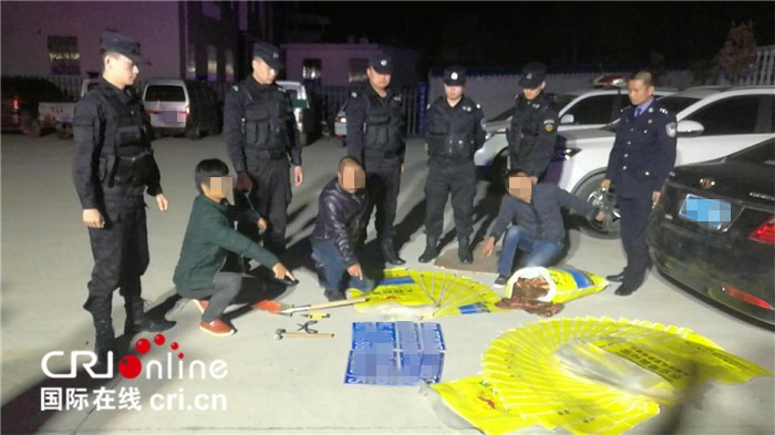 【CRI原创】【城市频道滚动】巴东警察举枪示警 将3名诈骗嫌疑人拦截在高速入口 【CRI原创】【城市频道滚动】巴东警察举枪示警 将3名诈骗嫌疑人拦截在高速入口