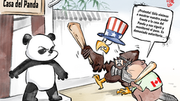 【Caricatura editorial】 Acusan falsamente al Panda e ignoran su propio error