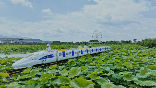 暑期旅游火热 金九银十可期