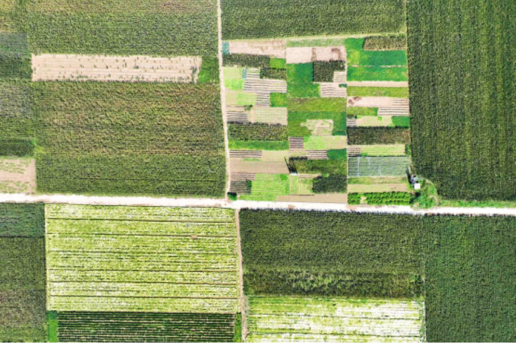 河北威县：秋日乡村美如画_fororder_微信图片_20230915101227