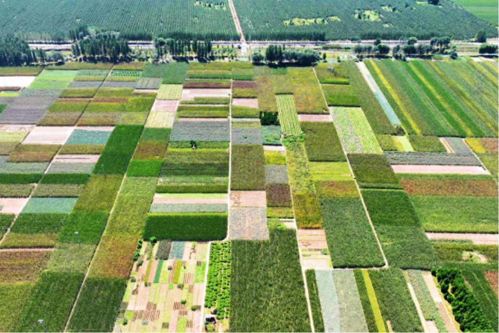 河北威县：秋日乡村美如画_fororder_微信图片_20230915100053