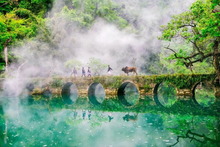 山水的记忆 生态的瑰宝｜贵州奋力推进世界自然遗产保护与发展