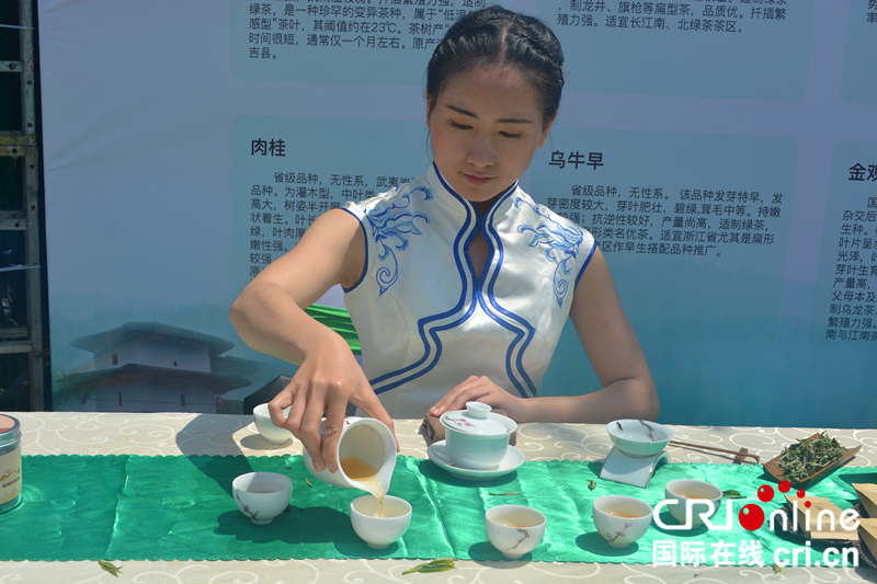 【china news APP】【cri看福建 列表】【國際在線城市頻道】永泰舉行首屆綠茶春茶開採節 助力鄉村經濟旅遊發展