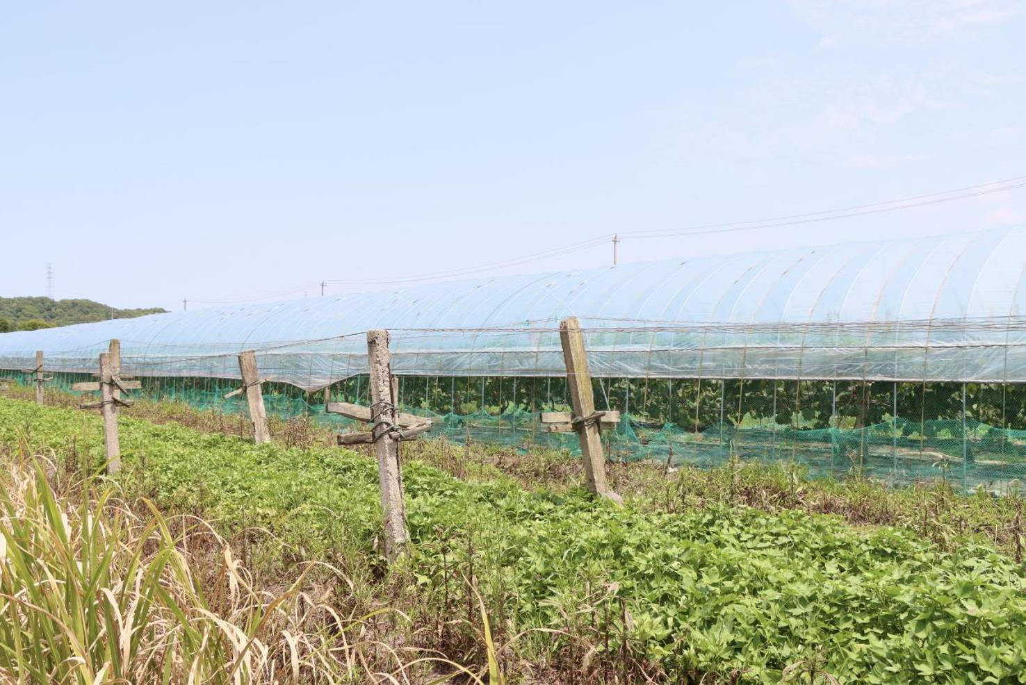 “八八战略”实施20周年媒体采风行活动在浙江岱山举行_fororder_微信截图_20230817153723