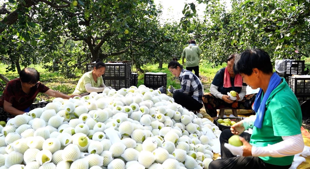 图片默认标题_fororder_4