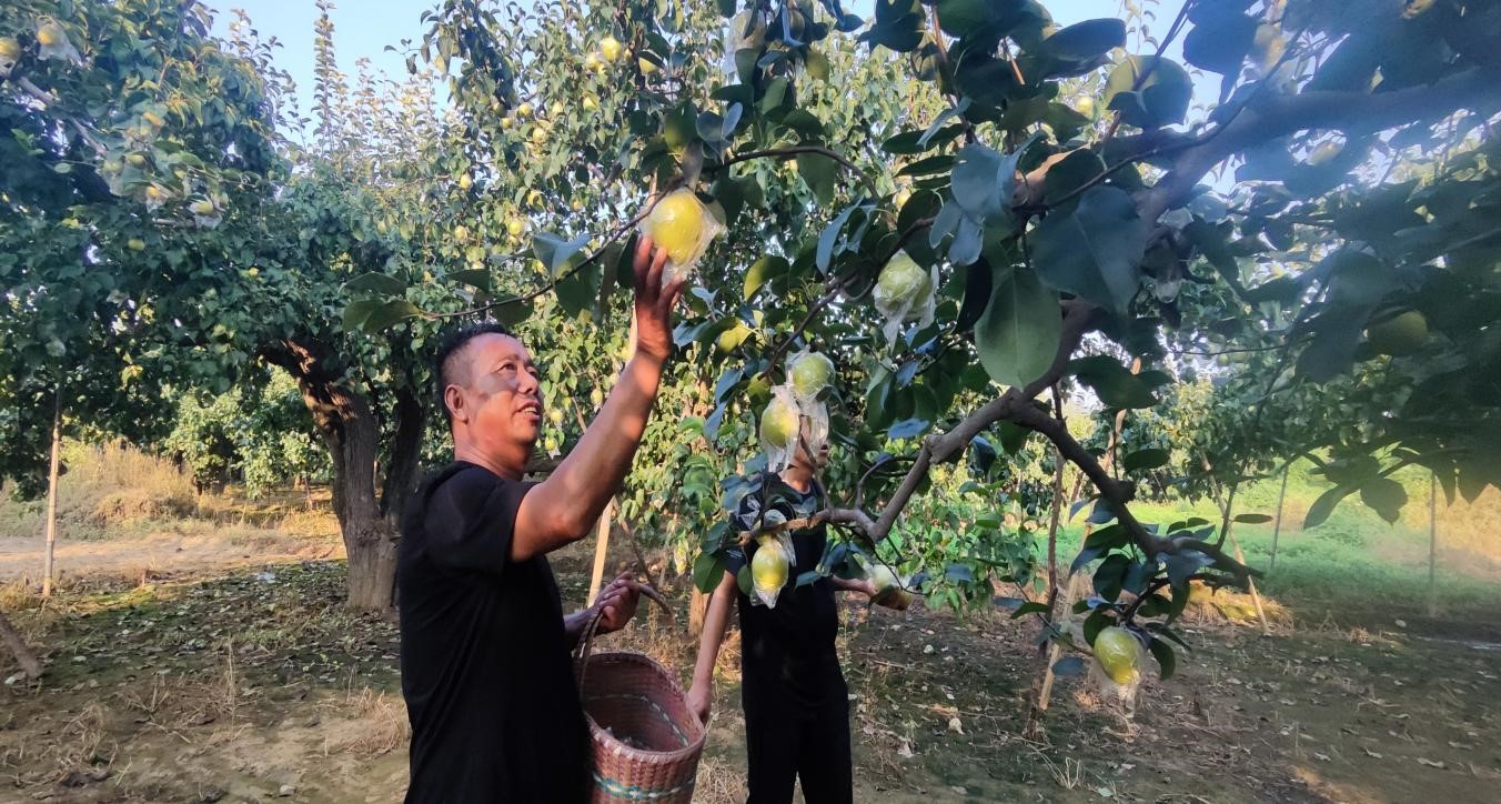 图片默认标题_fororder_2