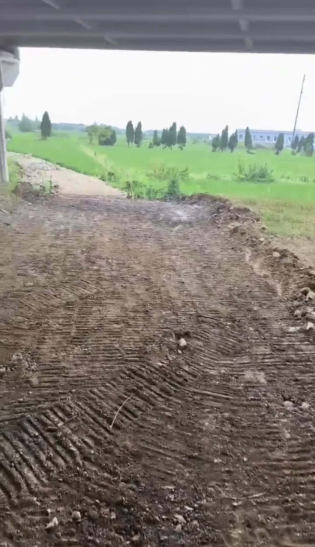 “断头路”变身“丰收路” 宁波鄞州瞻岐镇人大代表解民忧_fororder_1692194091591_64dcd52b233d097cbf1c288d