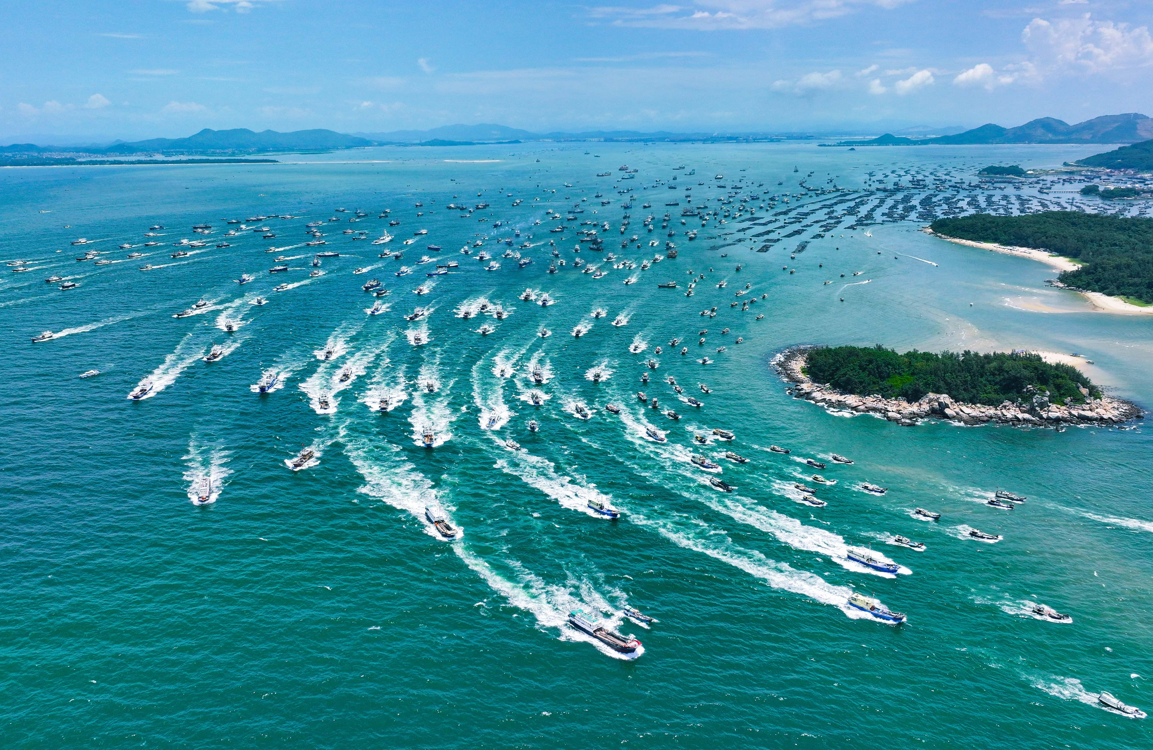 广东“第一网”海鲜来啦！万艘渔船扬帆起航_fororder_LOCAL1692234153729URMDHVMO29