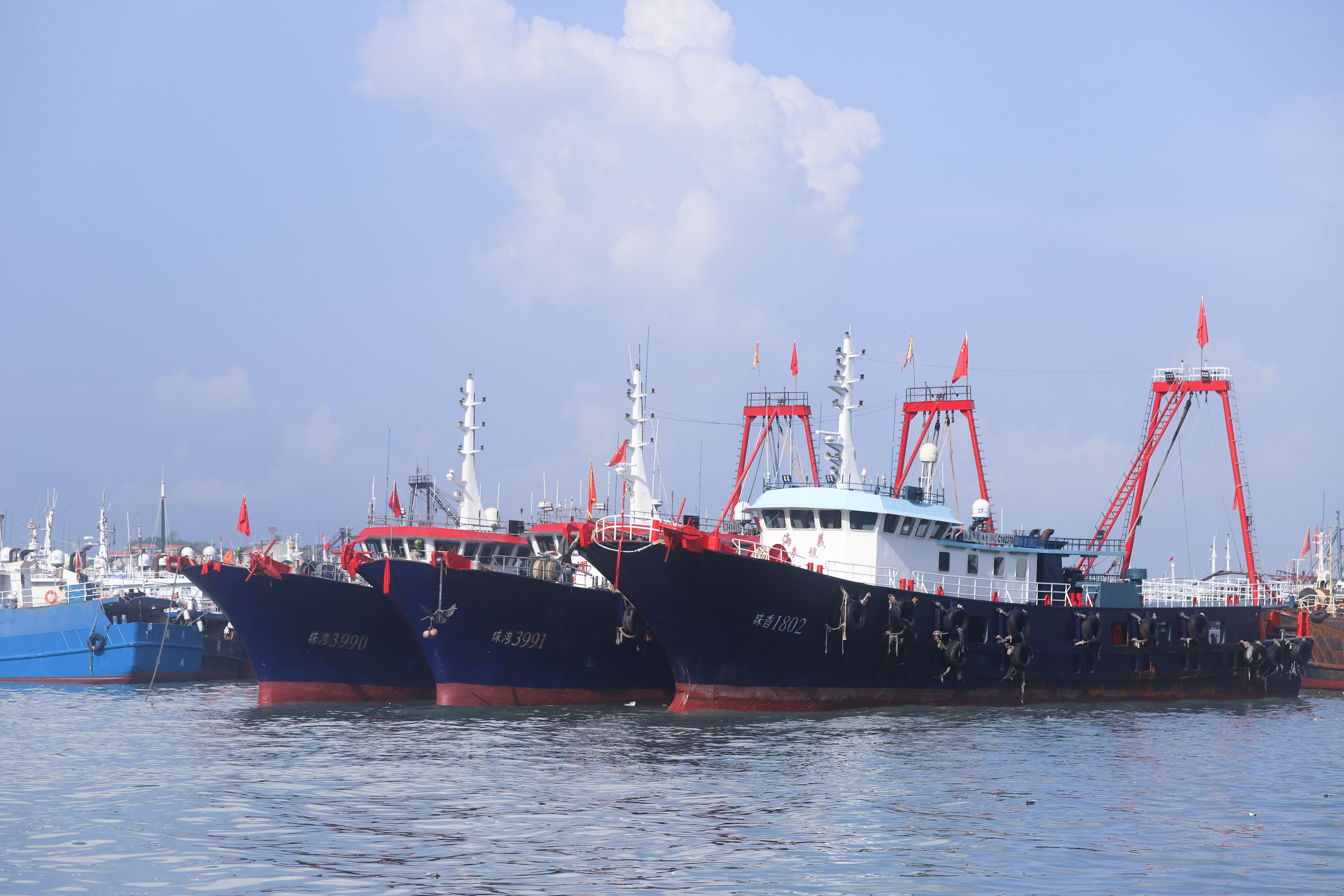 广东“第一网”海鲜来啦！万艘渔船扬帆起航_fororder_LOCAL1692234230034P9RDA2NUKV