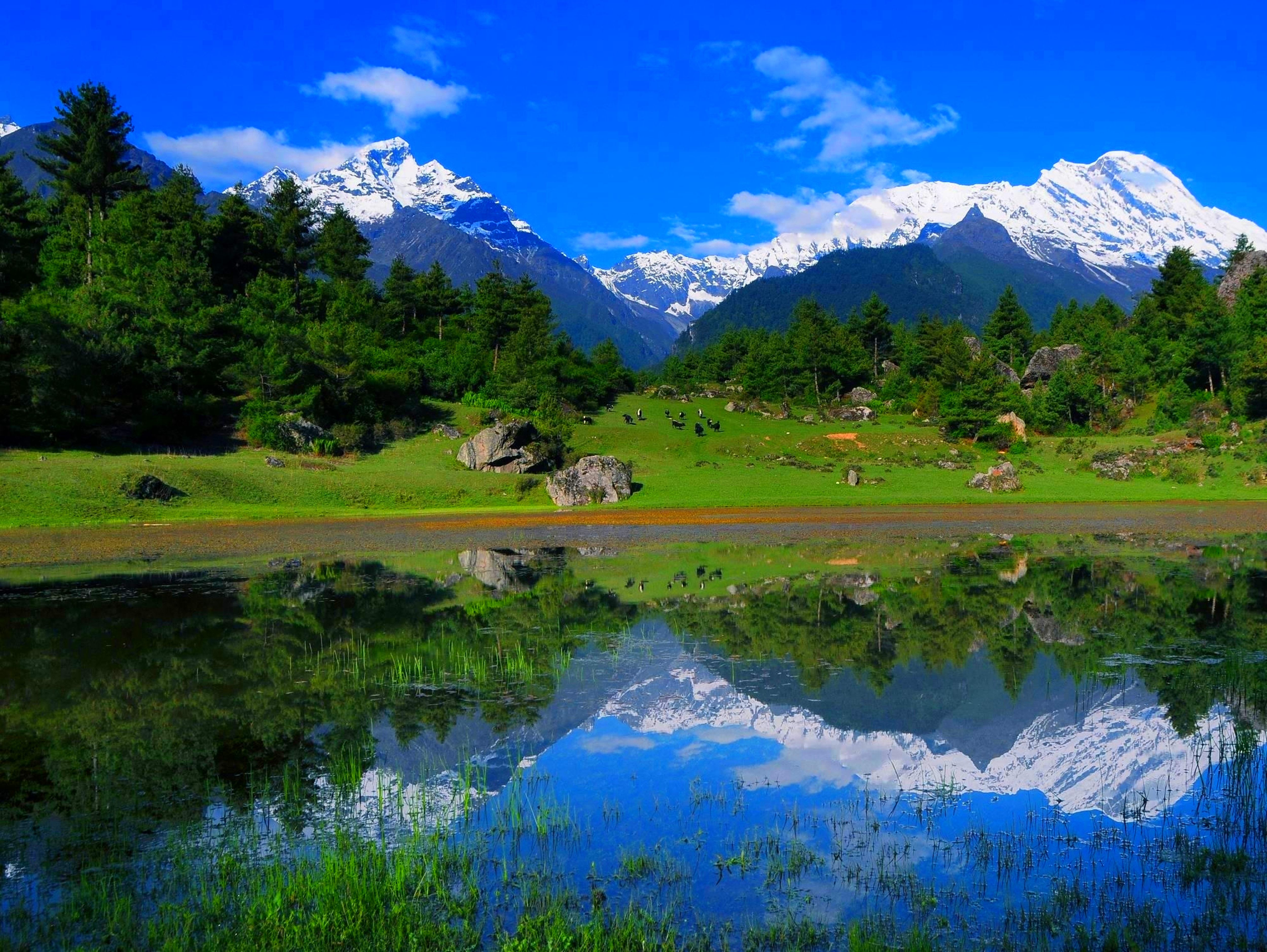 唐竺古道“一路跨千年”旅游品牌推介会在西安举行_fororder_微信图片_20230818173001