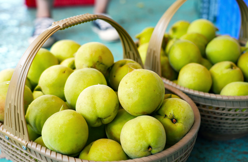 广西钟山：鹰嘴桃产销两旺富果农