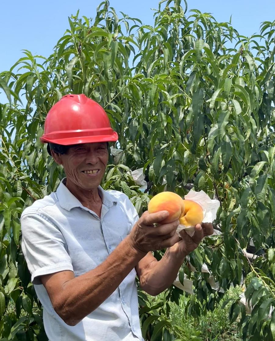 “八八战略”实施20周年媒体采风行活动在浙江岱山举行_fororder_微信截图_20230817153658