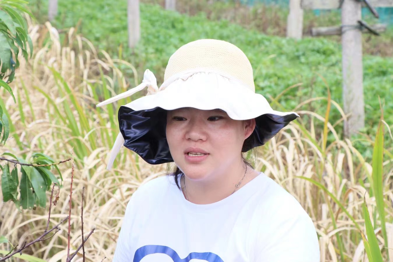 浙江舟山：岱西葡萄香满园 绘就共富新画卷_fororder_微信图片_20230817163917