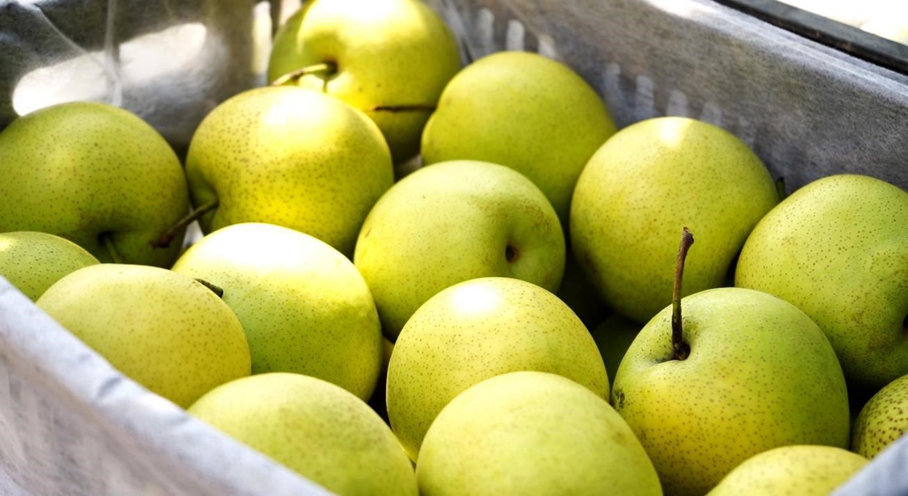 图片默认标题_fororder_3