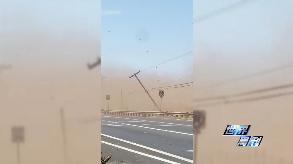 世界周刊丨夏威夷大火