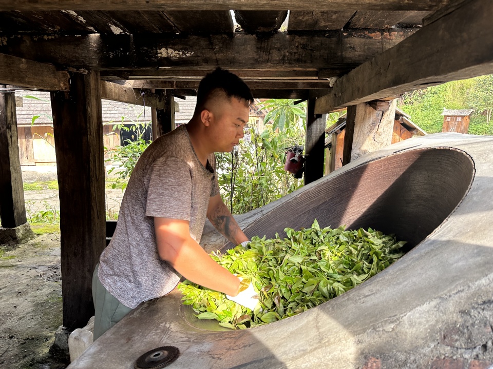 申遗成功！中国“茶”主题项目填补世界遗产名录空白