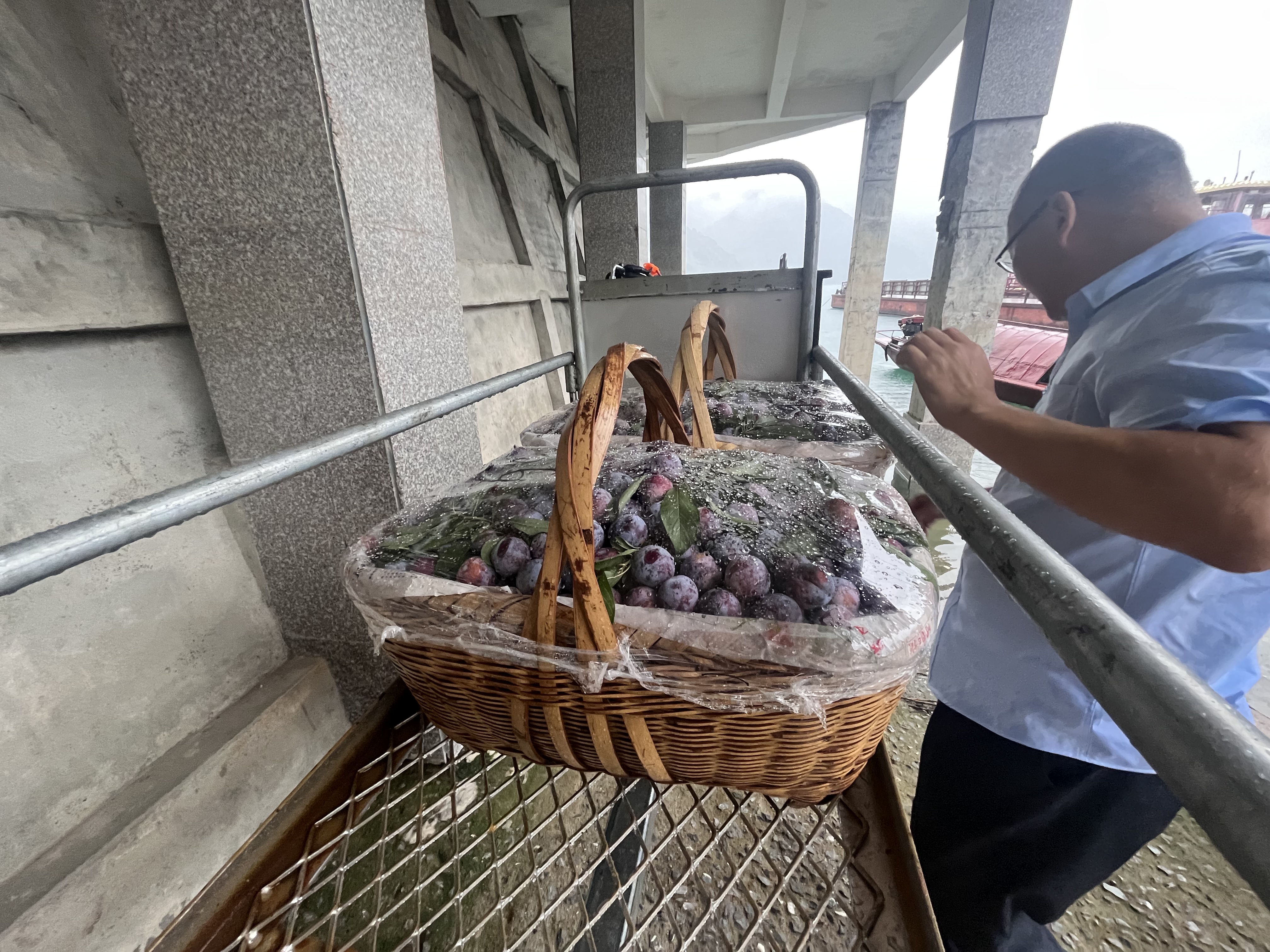 湖南资兴东江湖大坝码头建成水果运输传送专线_fororder_微信图片_20230818101717