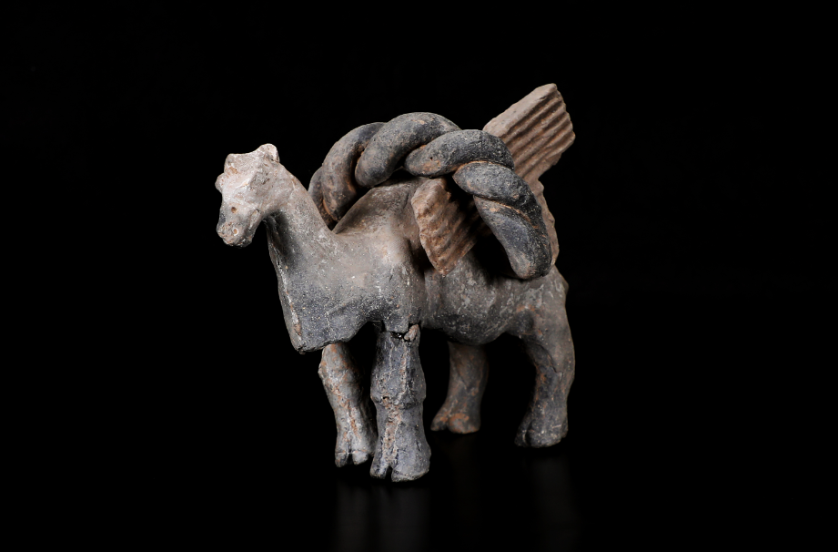 重磅！陕西再发现一座北周帝陵