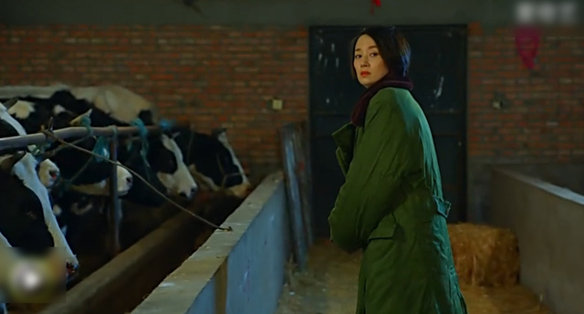 陈建斌马伊琍十年再聚首 新片醉舞偷牛笑料足