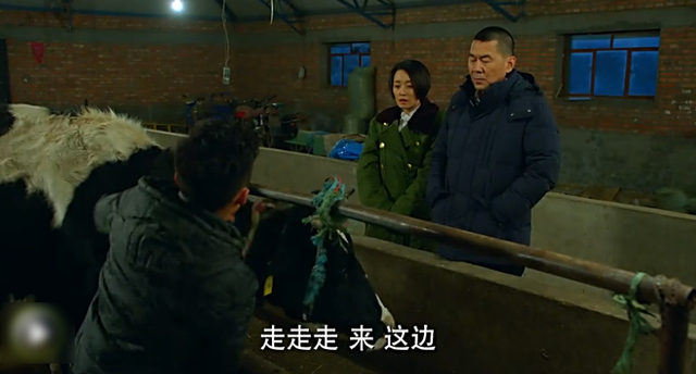 陈建斌马伊琍十年再聚首 新片醉舞偷牛笑料足