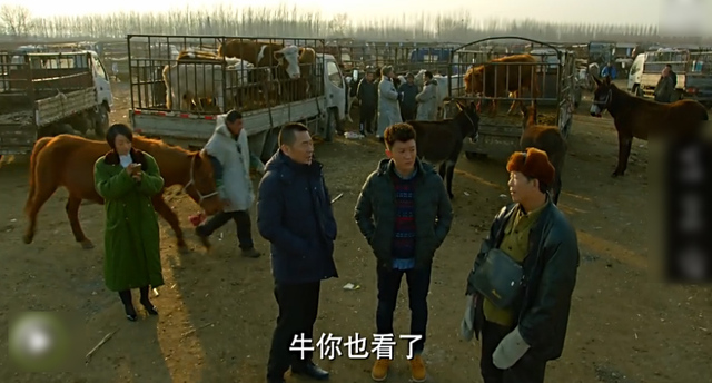 陈建斌马伊琍十年再聚首 新片醉舞偷牛笑料足