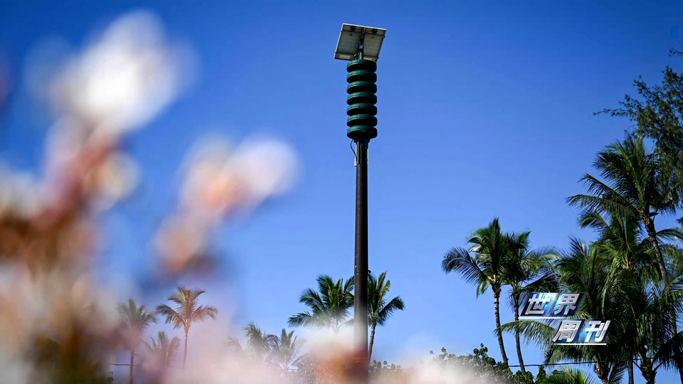 世界周刊丨夏威夷大火