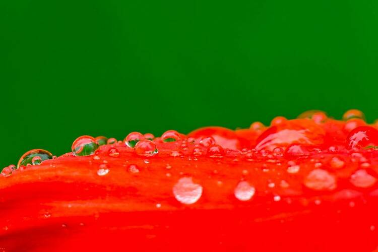 瀋陽：出伏首場雨，陣陣送秋涼