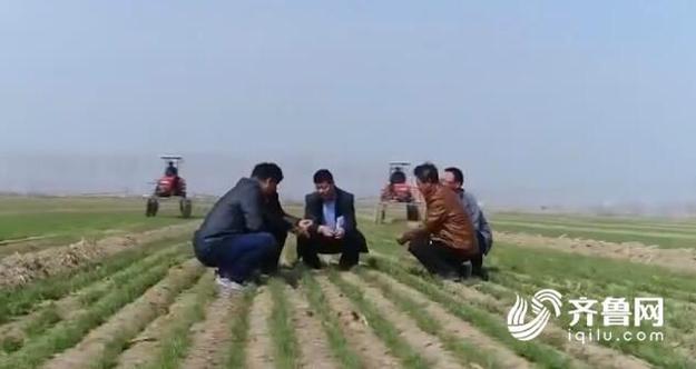 农业产业好前景需要科技支撑