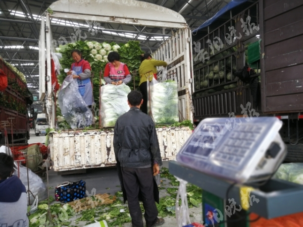 （大扶贫）贵州省产业扶贫蔬菜销售专区试运营