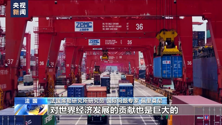 法国国际问题专家：金砖国家合作机制有巨大发展潜力