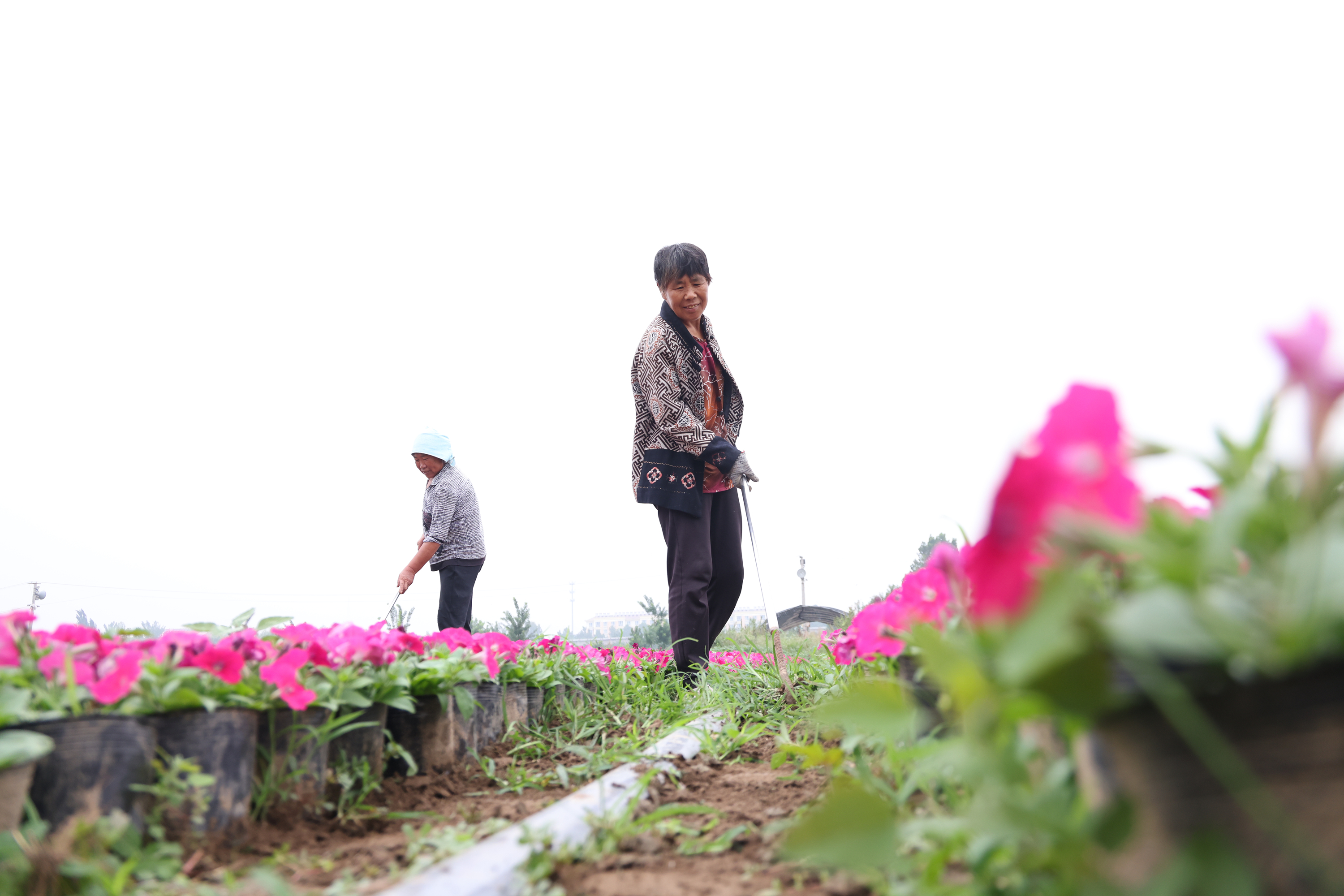 图片默认标题_fororder_2