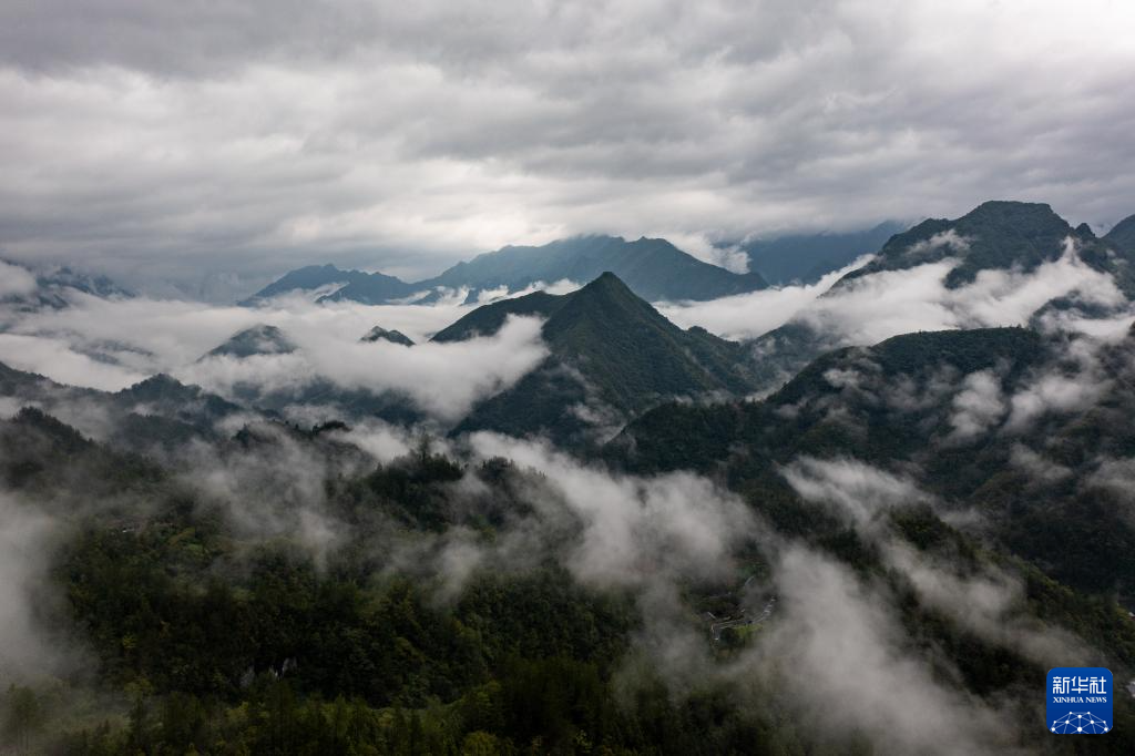 重庆城口：云雾缭绕大巴山