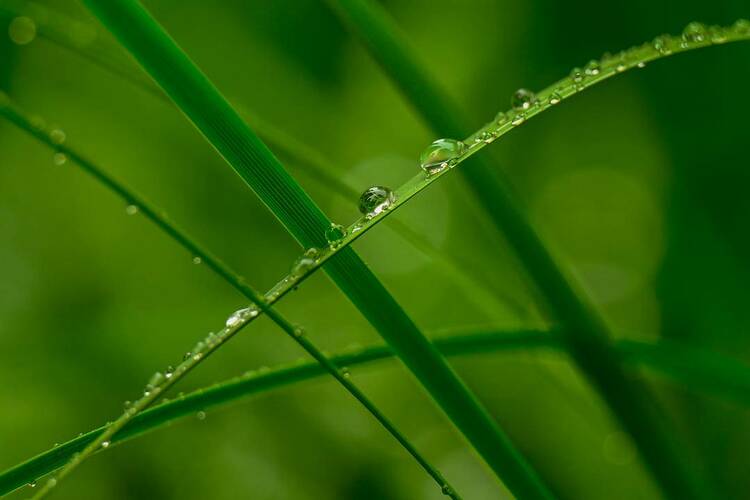 瀋陽：出伏首場雨，陣陣送秋涼