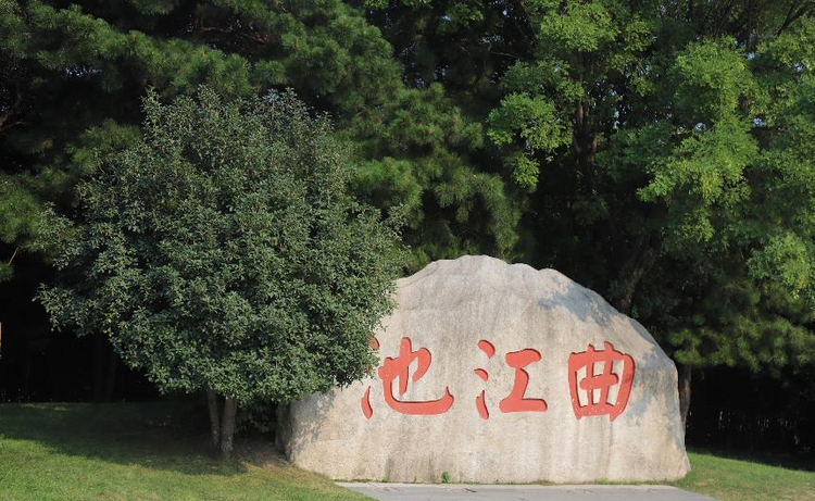 【Charming陕西】曲江池遗址公园：画中游园 徜徉千年古韵的文化之旅_fororder_图片6