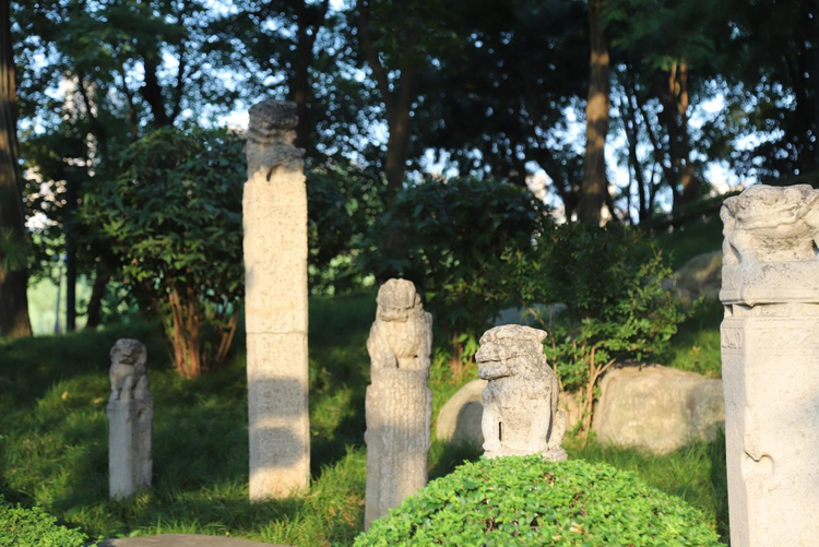 【Charming陕西】曲江池遗址公园：画中游园 徜徉千年古韵的文化之旅_fororder_图片9