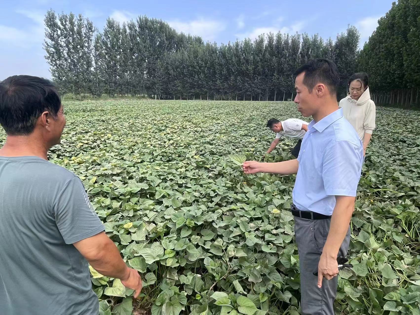 图片默认标题_fororder_006