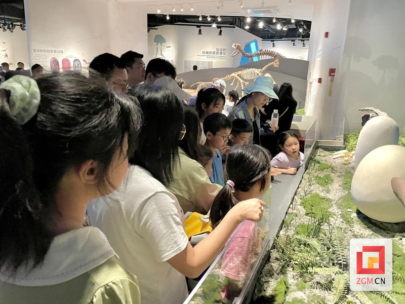 （转载）仅用224天！自贡恐龙博物馆游客破百万