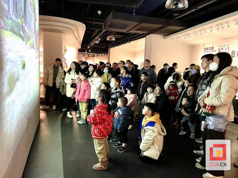 （转载）仅用224天！自贡恐龙博物馆游客破百万