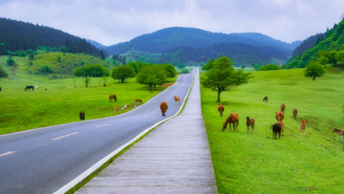 重庆仙女山机场新增“长沙—武隆”航线_fororder_微信图片_20230823132028