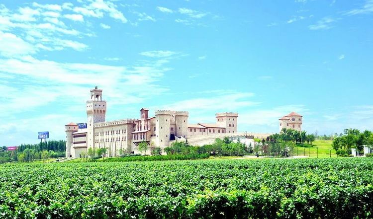 中国葡萄酒产旅融合发展大会举办_fororder_图片6