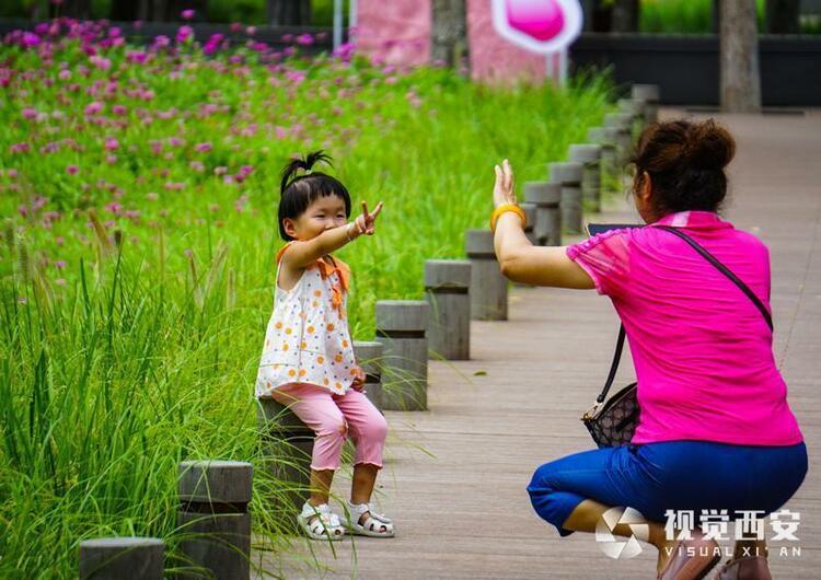 打卡兴庆宫公园花海