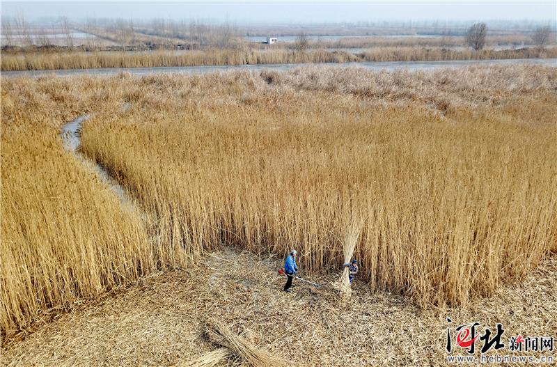 【大河之北·河湖水系篇①】華北明珠