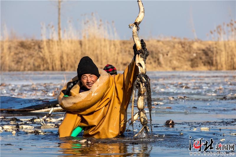 【大河之北·河湖水系篇①】華北明珠