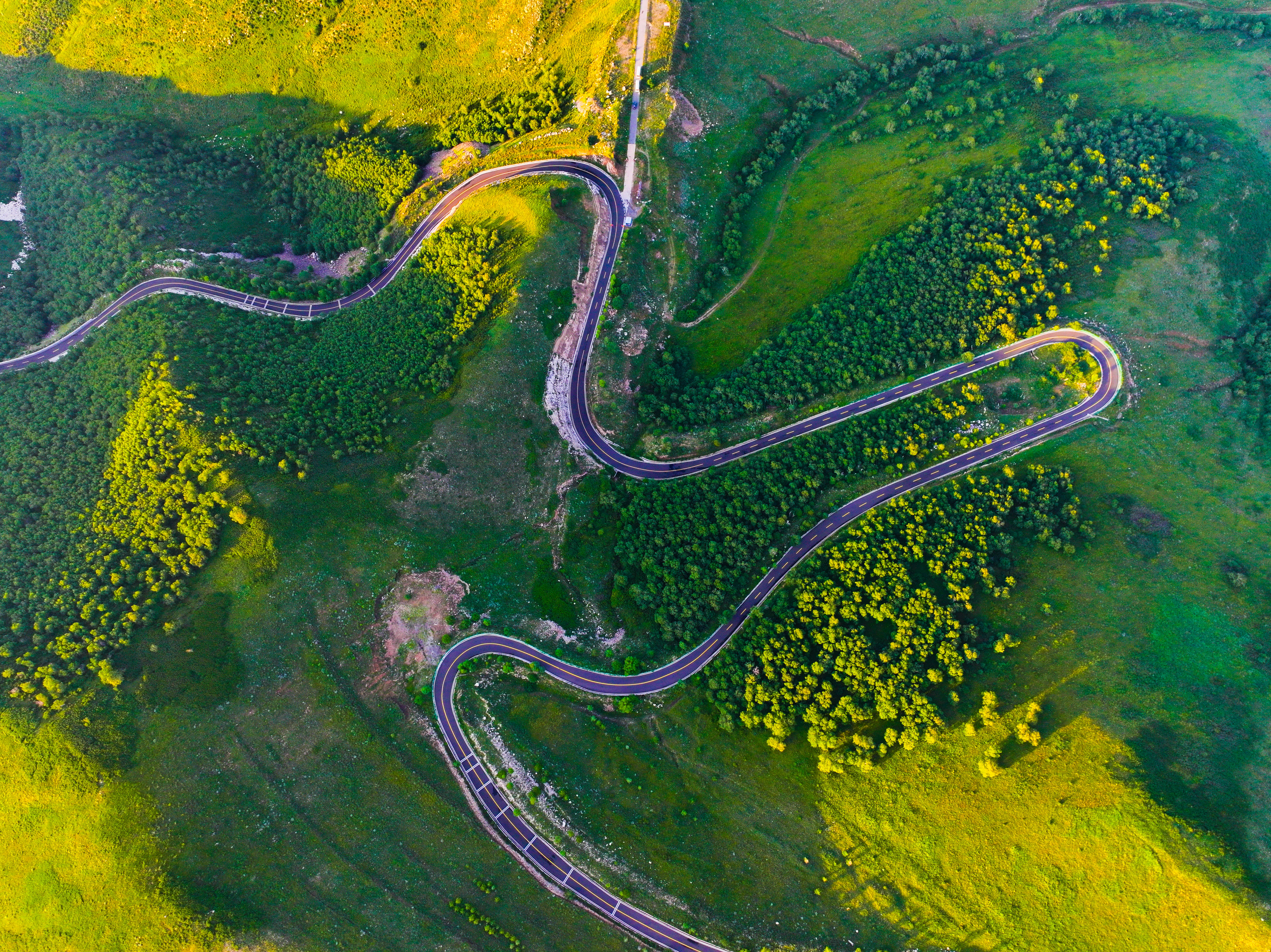 青山绿水看内蒙古丨大青山前坡“生态绿带”美景如画_fororder_DJI_20230815184748_0063_D