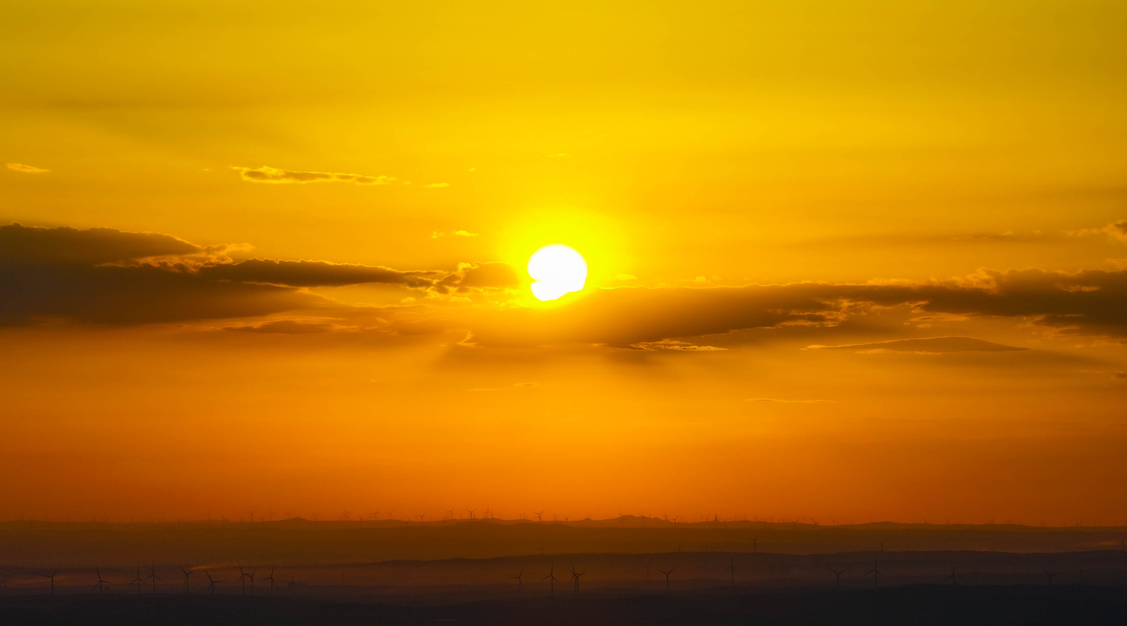 青山绿水看内蒙古丨大青山前坡“生态绿带”美景如画_fororder_DJI_20230815191843_0069_D