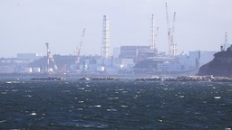【国际锐评】太平洋沿岸国有权向日本政府发起核污水索赔！_fororder_微信图片_20230826143613