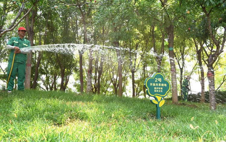 沧州经济开发区共享公园绿地让城市充满“幸福感”_fororder_图片16