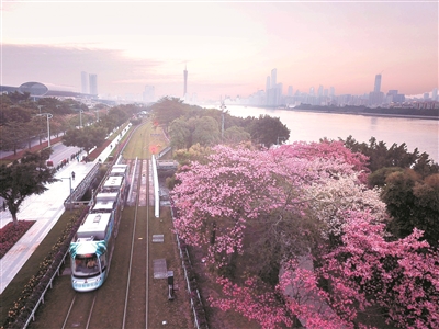 广州未来有轨电车规划重点考虑外围城区