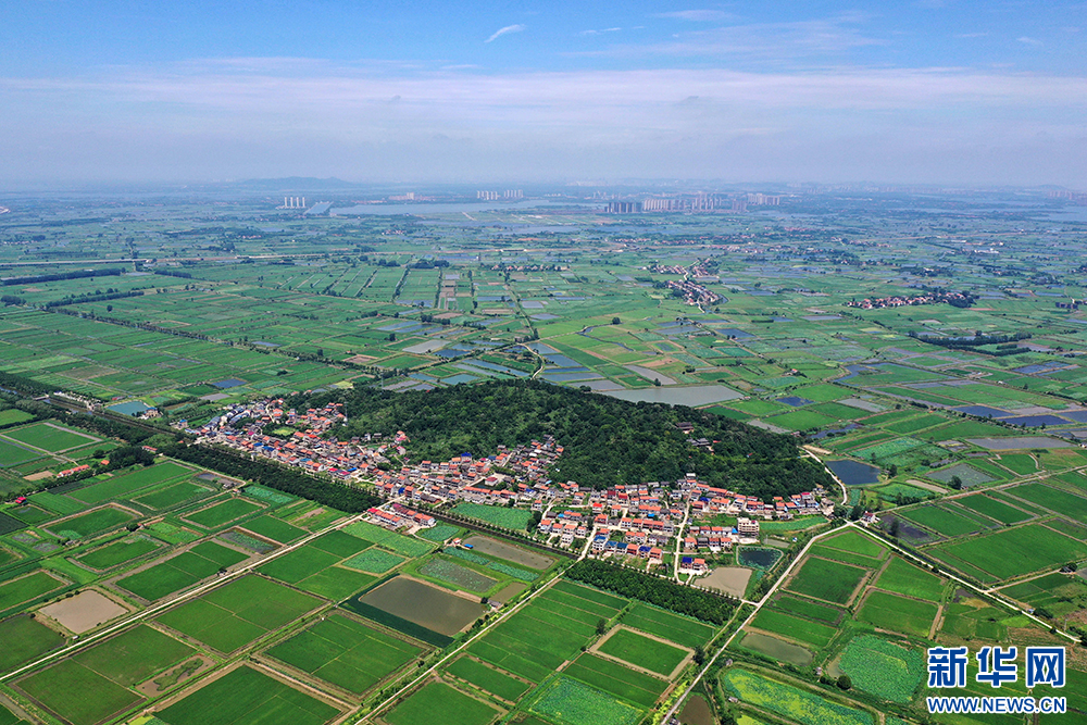 向“美”而行 湖北鄂州全力建設和美鄉村